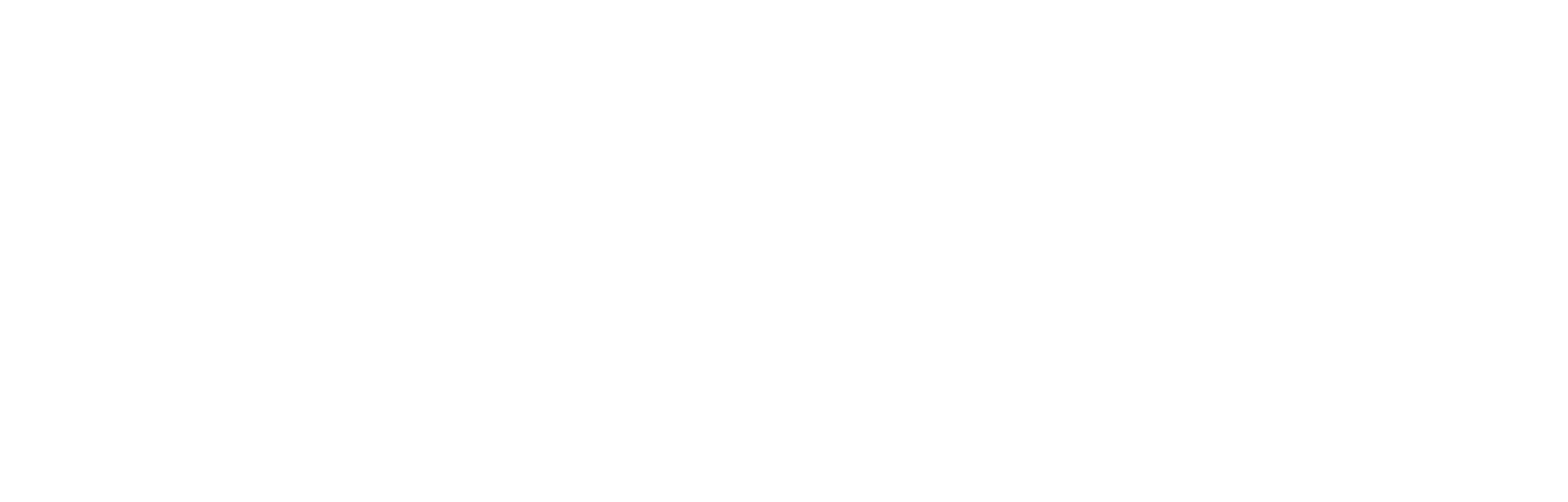 Your AI Solution